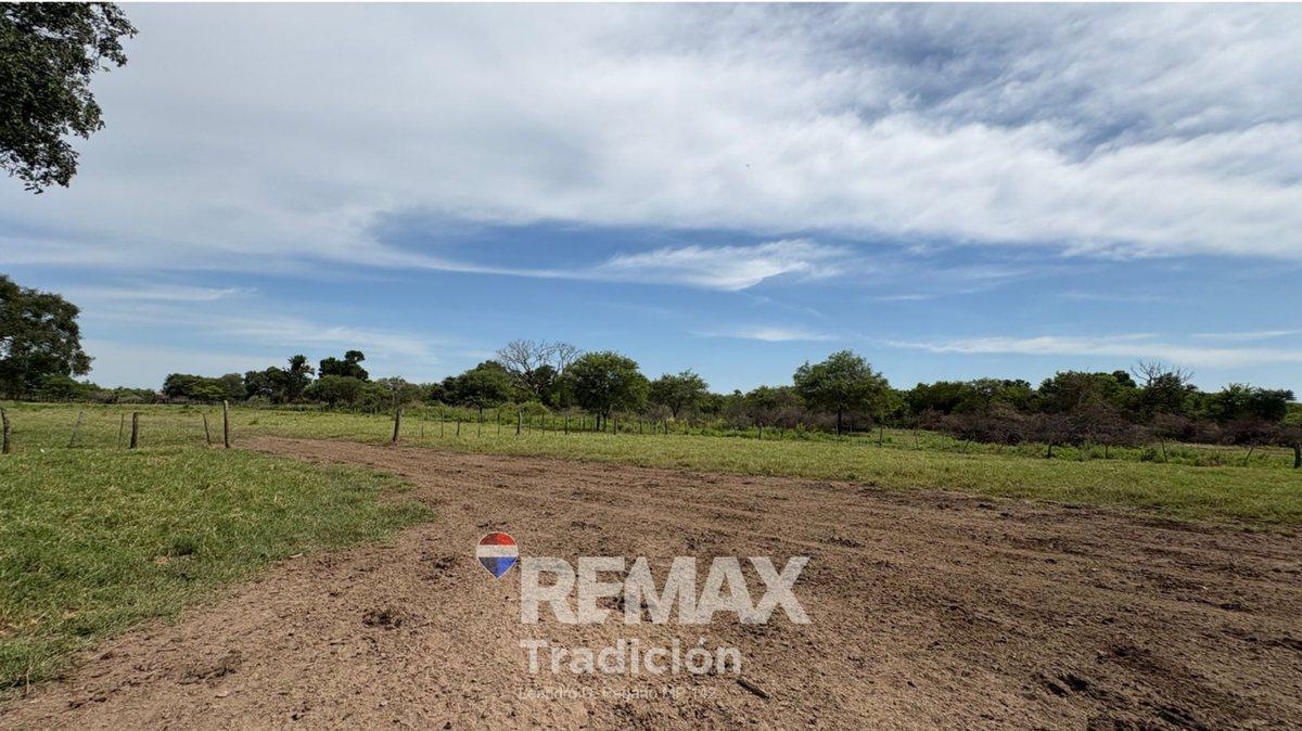 Foto de CAMPO 419 HAS - GANADERO-VENTA - COLONIA GUAYAIBI, imagen 4