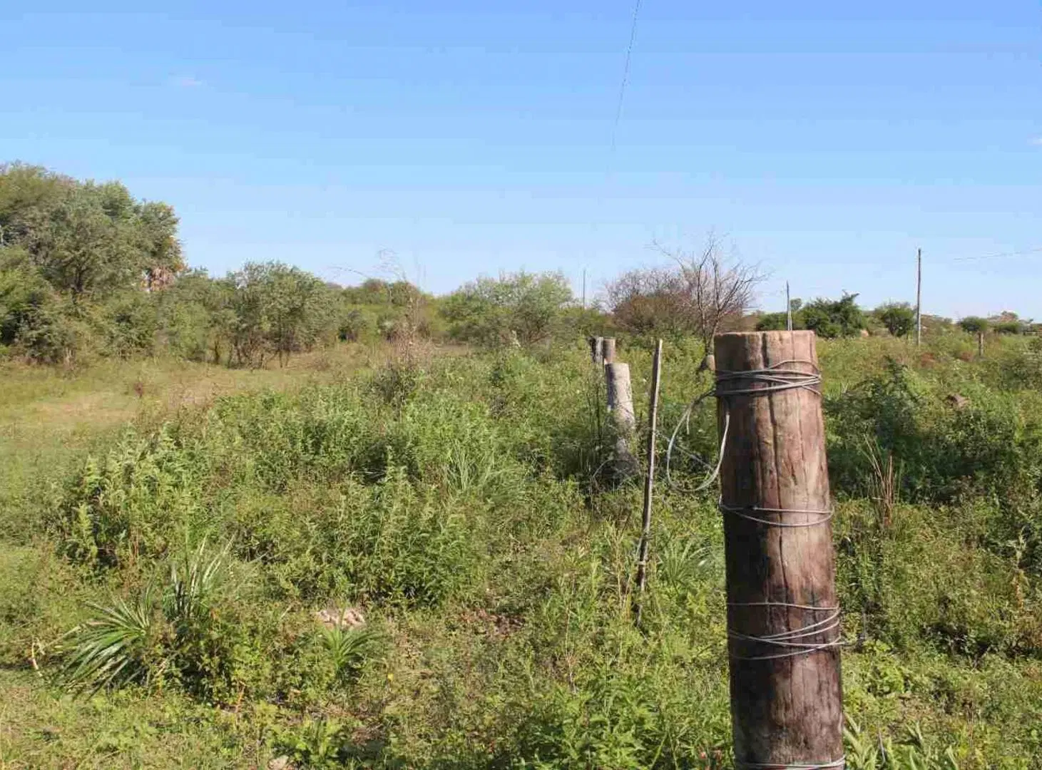 Lote-Terreno en venta en Resistencia 5.000 m² 8