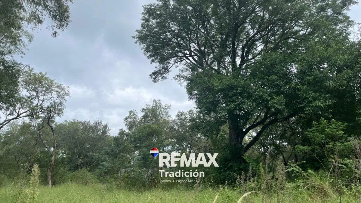 OPORTUNIDAD! LOTE/S en RUTA INGRESO COL. BENITEZ 8