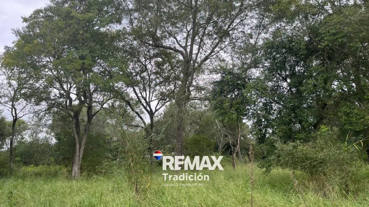 OPORTUNIDAD! LOTE/S en RUTA INGRESO COL. BENITEZ 2
