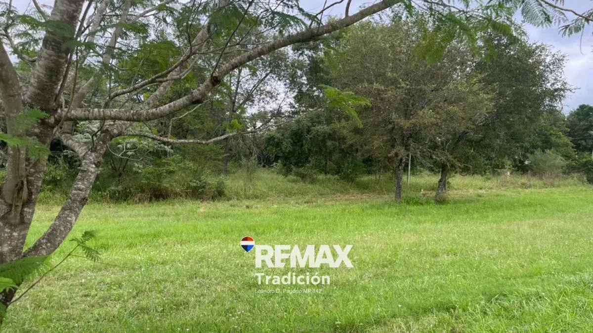 OPORTUNIDAD! LOTE/S en RUTA INGRESO COL. BENITEZ 3