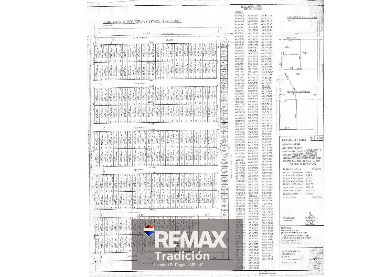 Plano 1