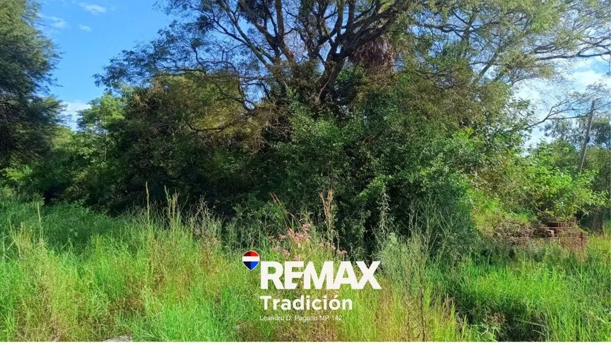 TERRENO EN VENTA EN COLONIA BENITEZ 2