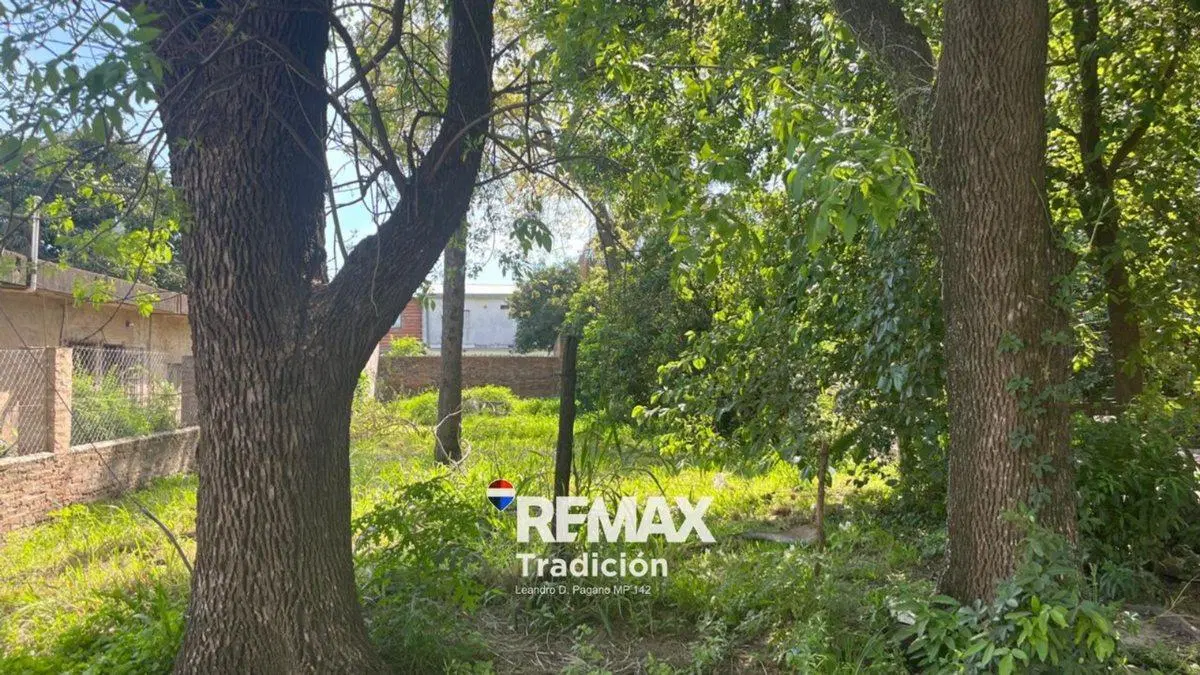 VENTA TERRENO B SAN JAVIER 4