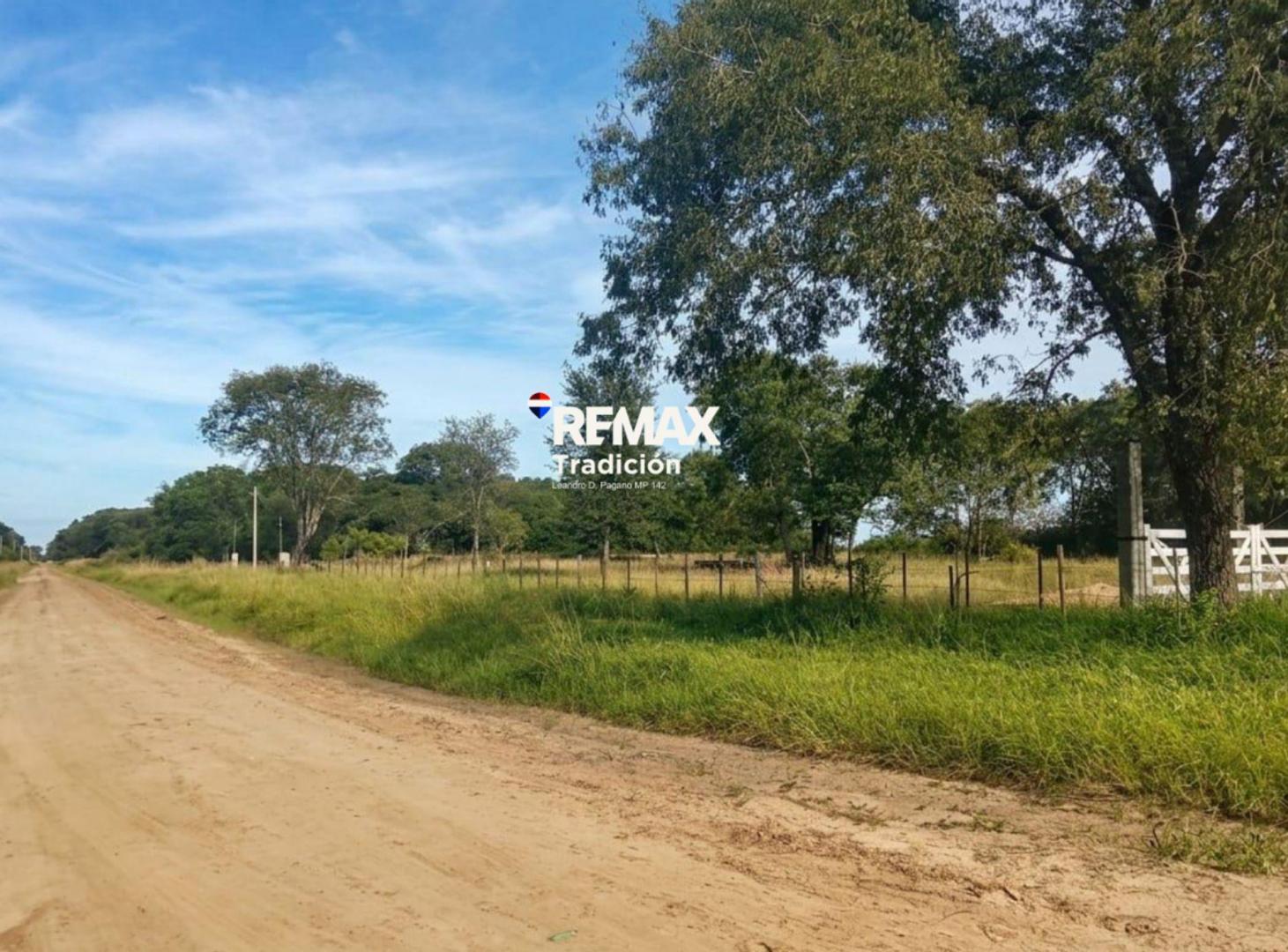 Foto de VENTA TERRENO 12.600 M2 COLONIA BENITEZ, imagen 2