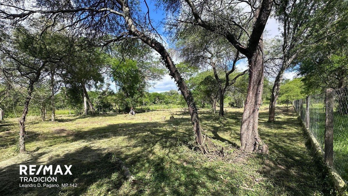 Foto de TERRENO EN VENTA - COLONIA BENITEZ, imagen 3