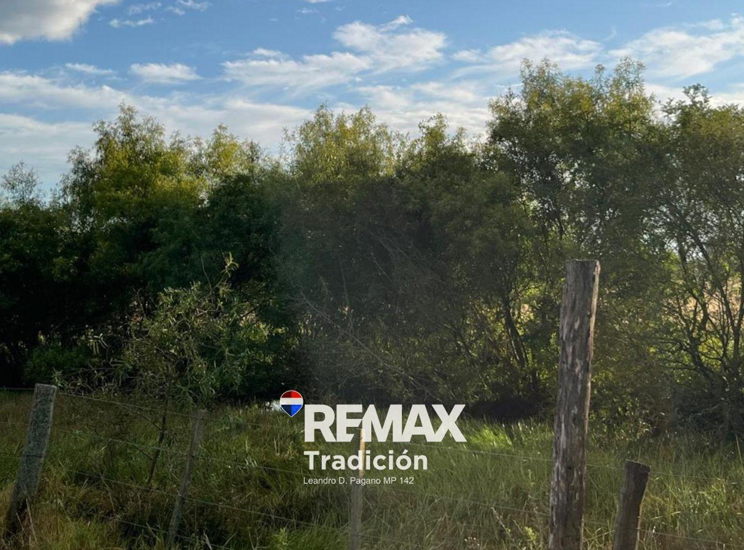 Foto de CAMPO EN VENTA DE 8,6 HECTÁREAS EN MAKALLE, CHACO, imagen 2