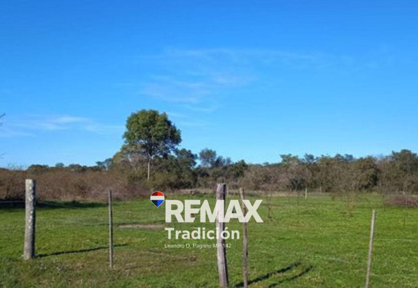 Foto de VENTA TERRENO MARGARITA BELEN, imagen 3
