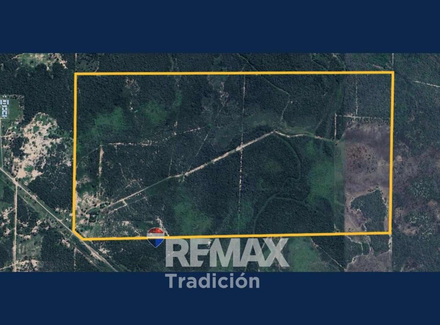 Foto de Campo en venta 315 has Pampa del Indio, imagen 4
