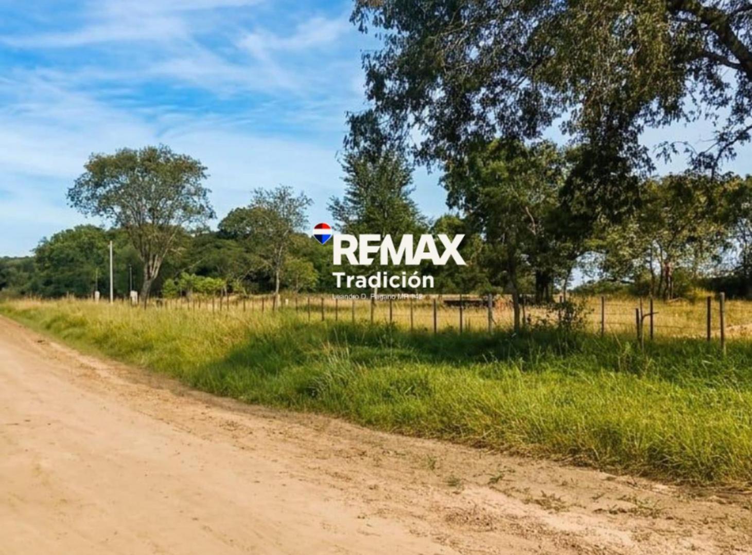 Foto de VENTA TERRENO 12.600 M2 COLONIA BENITEZ, imagen 5