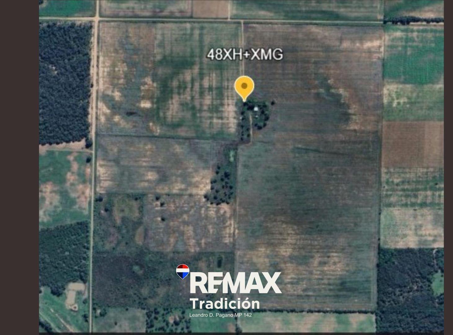 Foto de Campo Mixto de 100 Hectáreas en Juan José Castelli, imagen 4