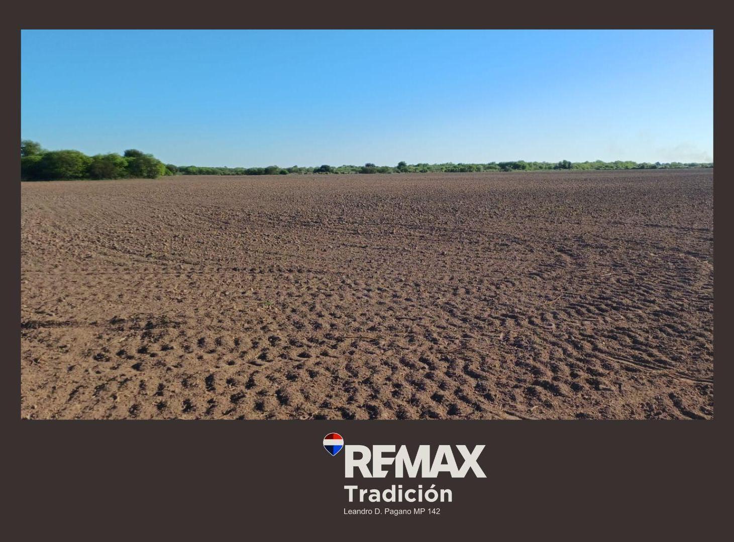 Foto de Campo Mixto de 100 Hectáreas en Juan José Castelli, imagen 5