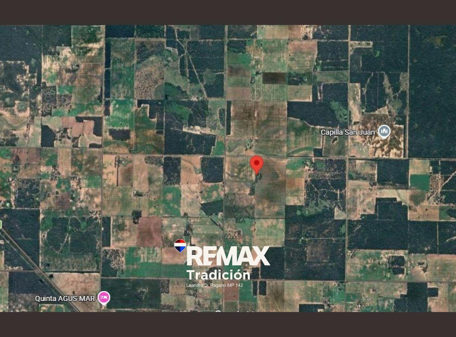 Foto de Campo Mixto de 100 Hectáreas en Juan José Castelli, imagen 3