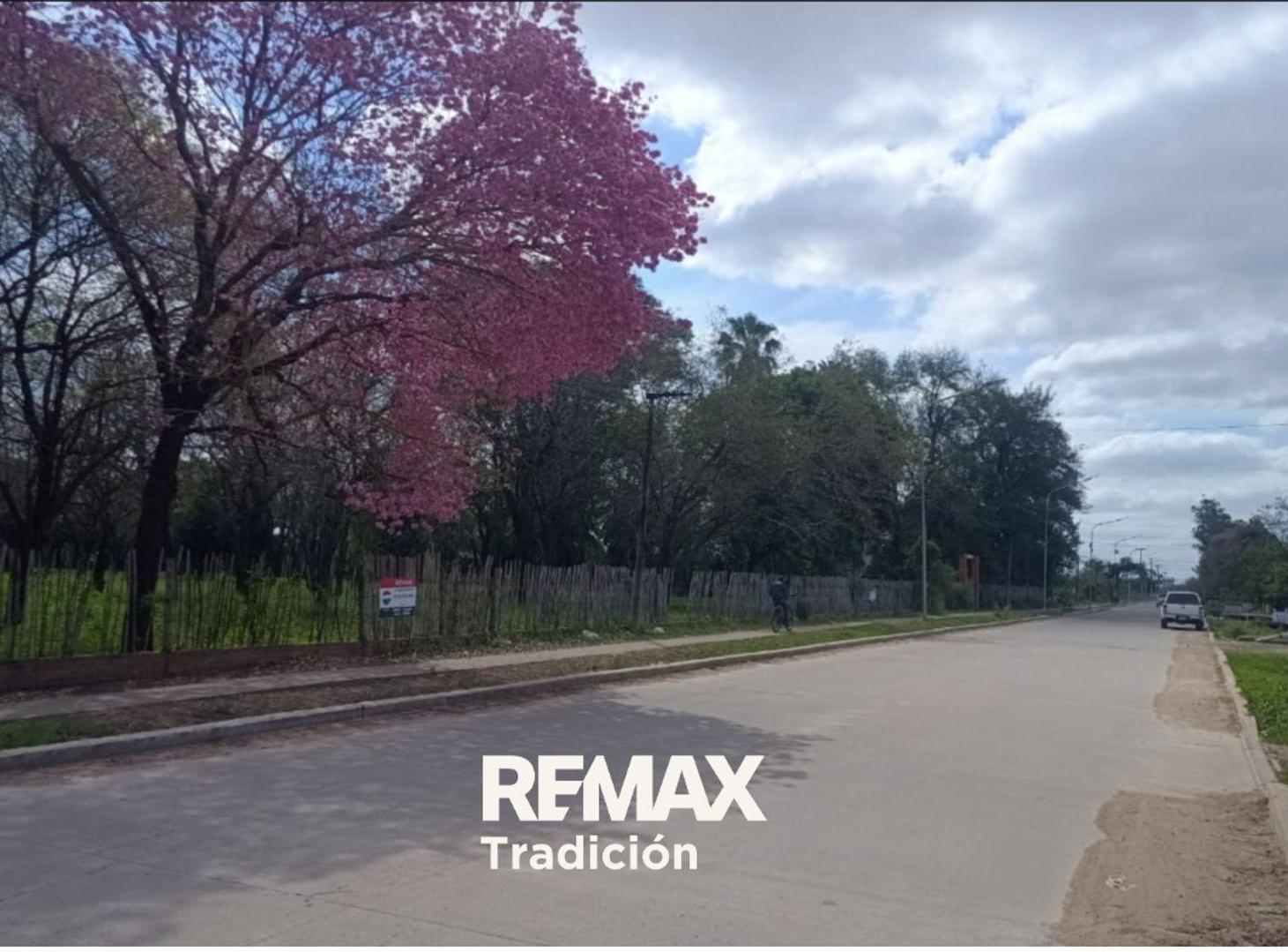 Foto de Terreno de 2,6 Ha. en Venta ubicado en Sáenz Peña, imagen 4