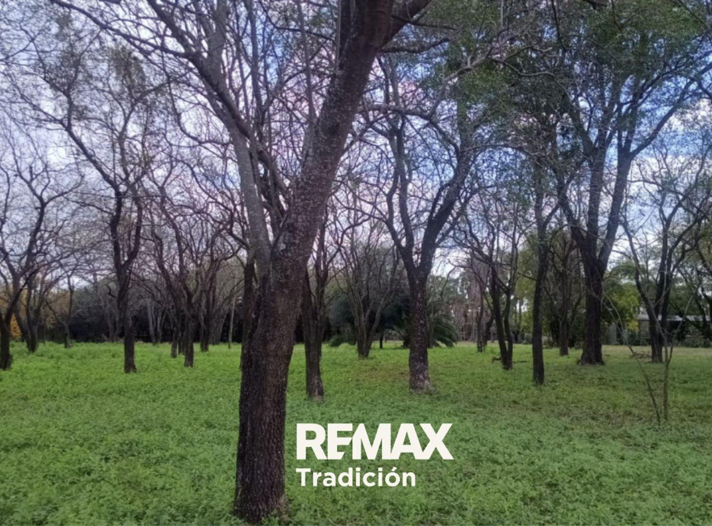 Foto de Terreno de 2,6 Ha. en Venta ubicado en Sáenz Peña, imagen 1