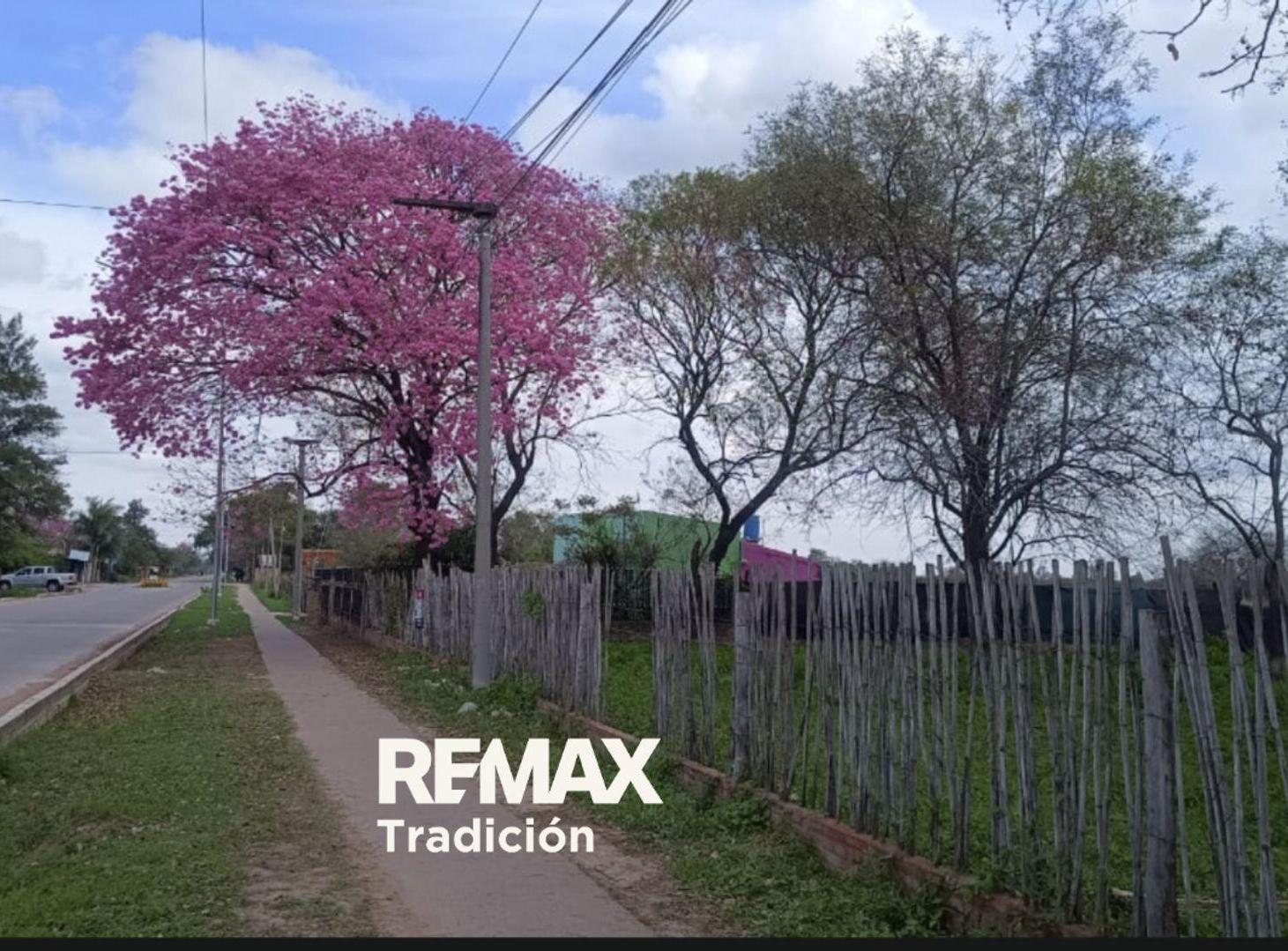 Foto de Terreno de 2,6 Ha. en Venta ubicado en Sáenz Peña, imagen 5