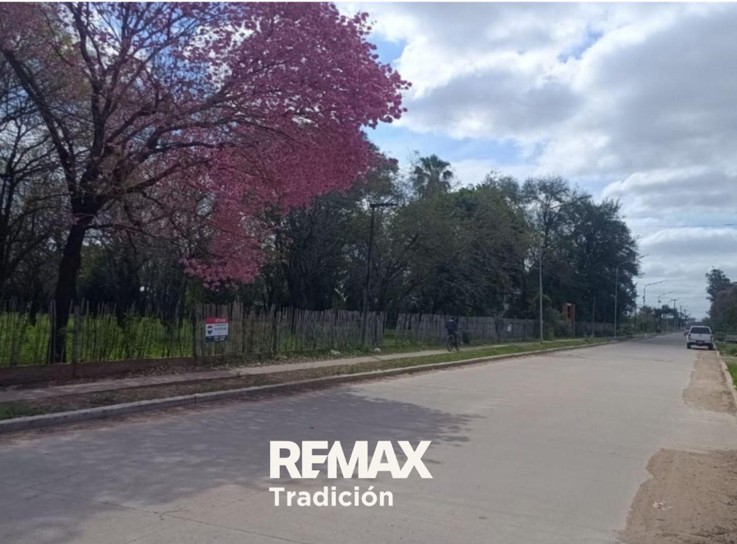 Foto de Terreno de 2,6 Ha. en Venta ubicado en Sáenz Peña, imagen 2