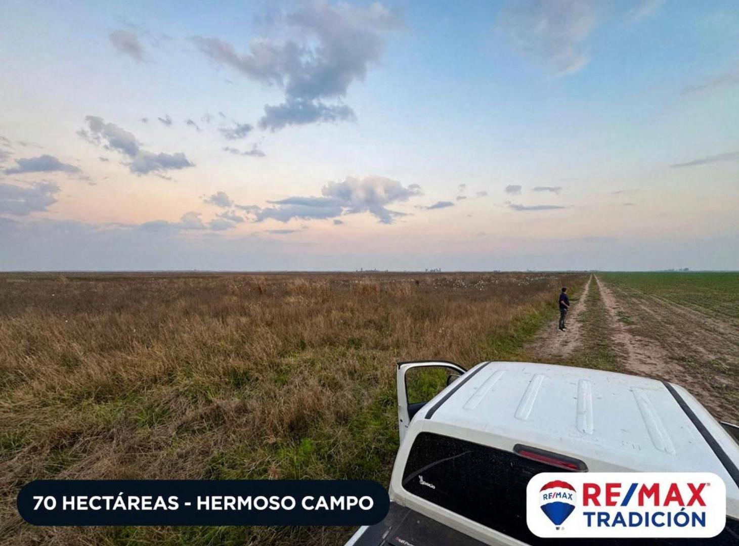Foto de Campo venta 70 hectáreas en Hermoso Campo Chaco, imagen 4