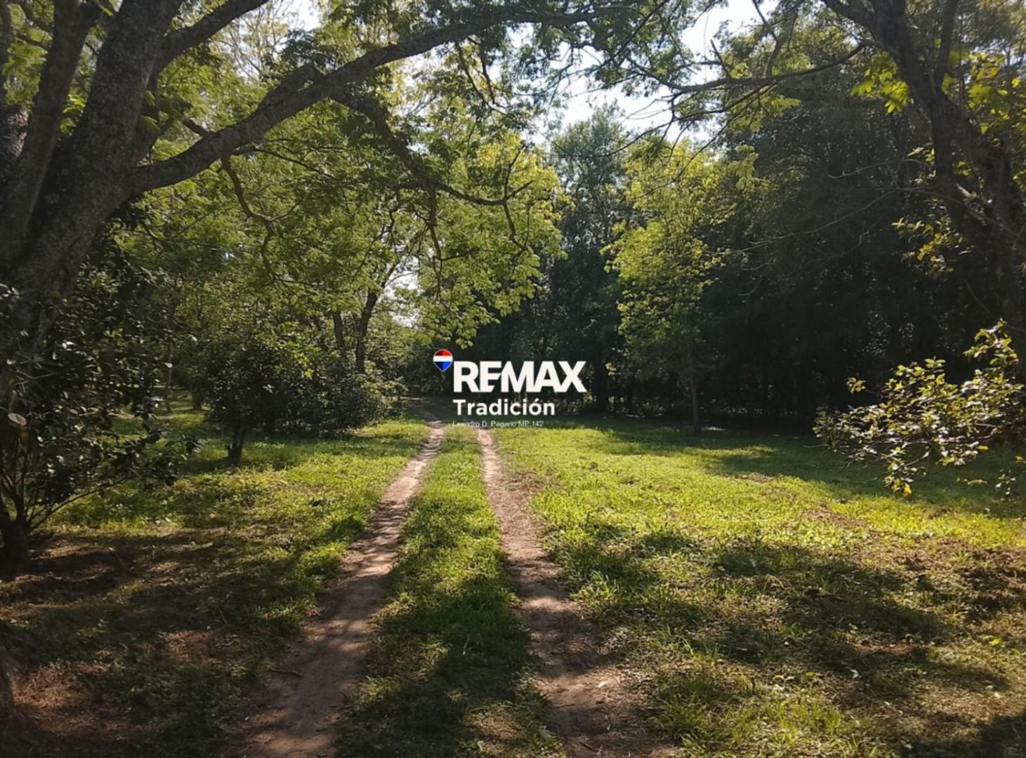 Foto de VENTA TERRENO 10.000 M2 COLONIA BENITEZ SOBRE RIO, imagen 4