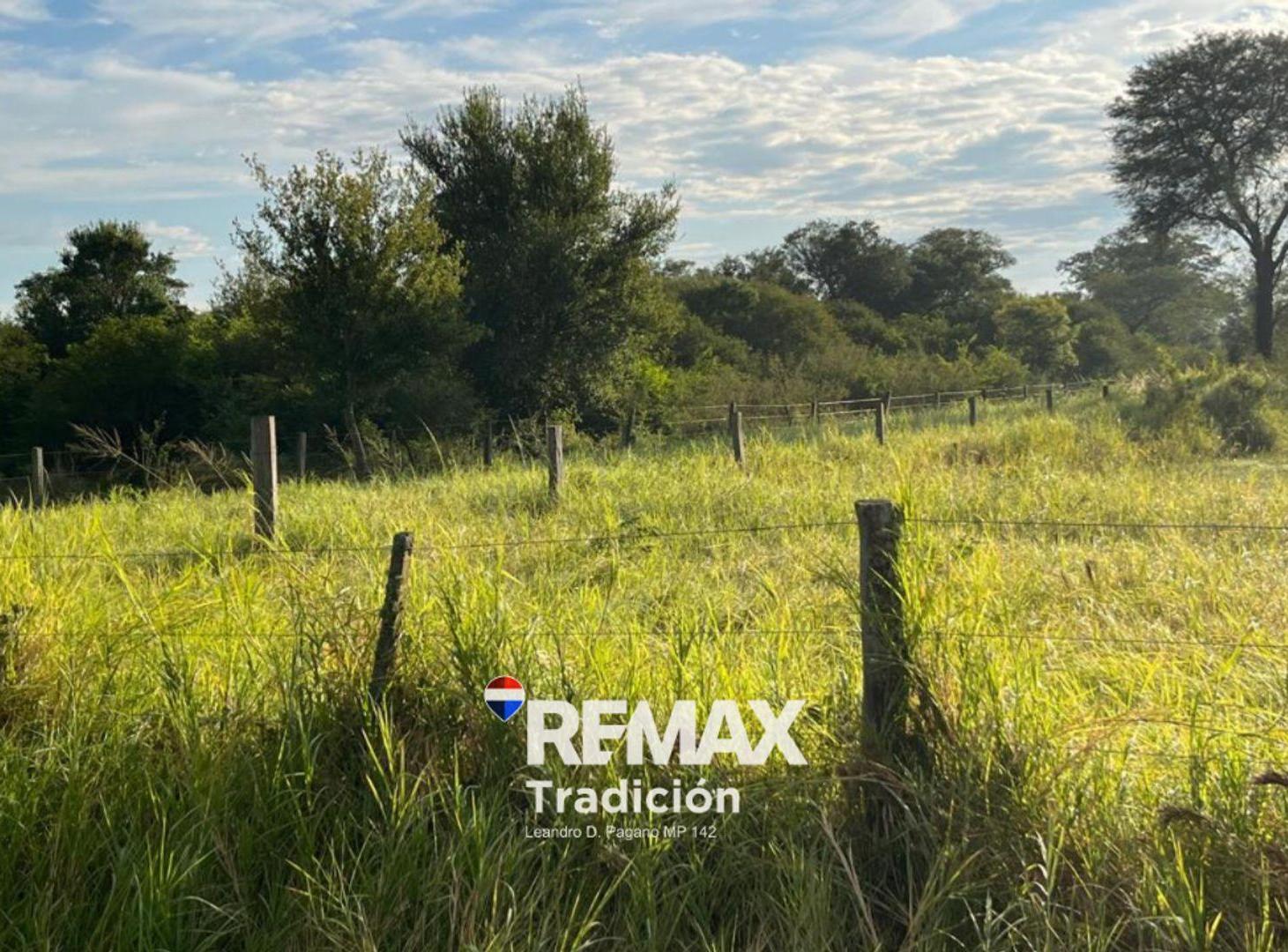 Foto de CAMPO EN VENTA DE 8,6 HECTÁREAS EN MAKALLE, CHACO, imagen 5