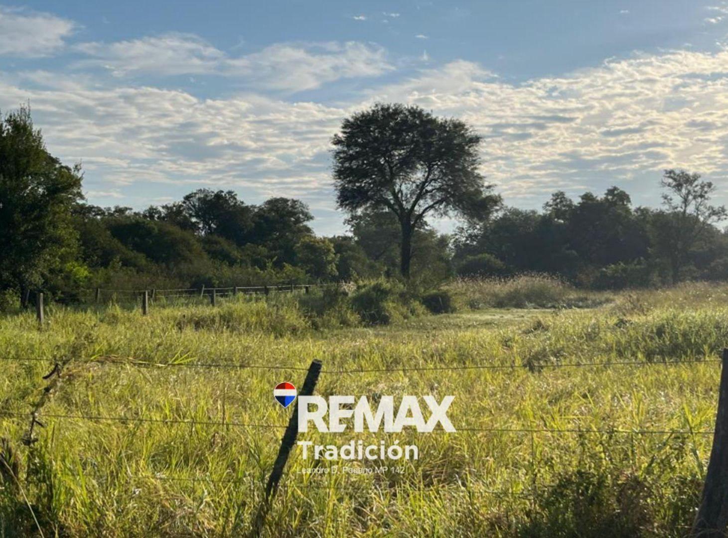 Foto de CAMPO EN VENTA DE 8,6 HECTÁREAS EN MAKALLE, CHACO, imagen 4