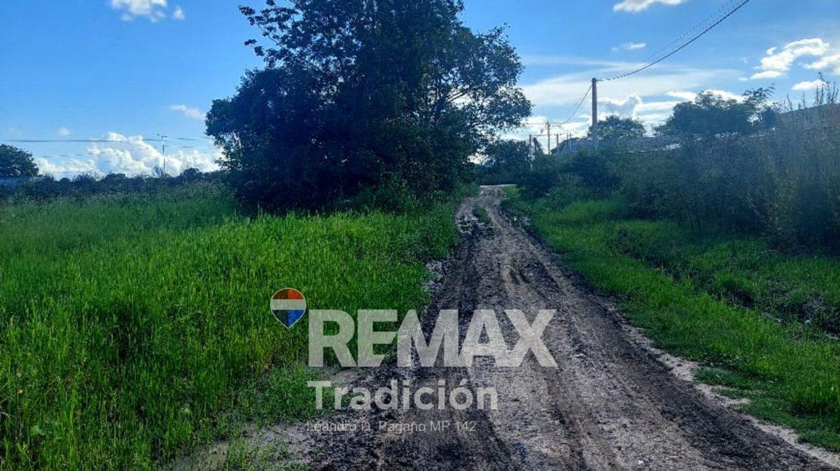 Foto de Venta de Terrenos Contiguos. Fontana, imagen 2