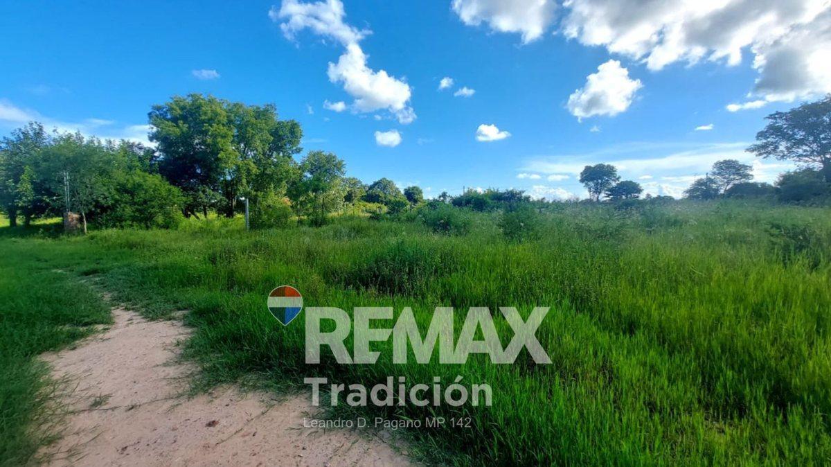 Foto de Venta de Terrenos Contiguos. Fontana, imagen 3