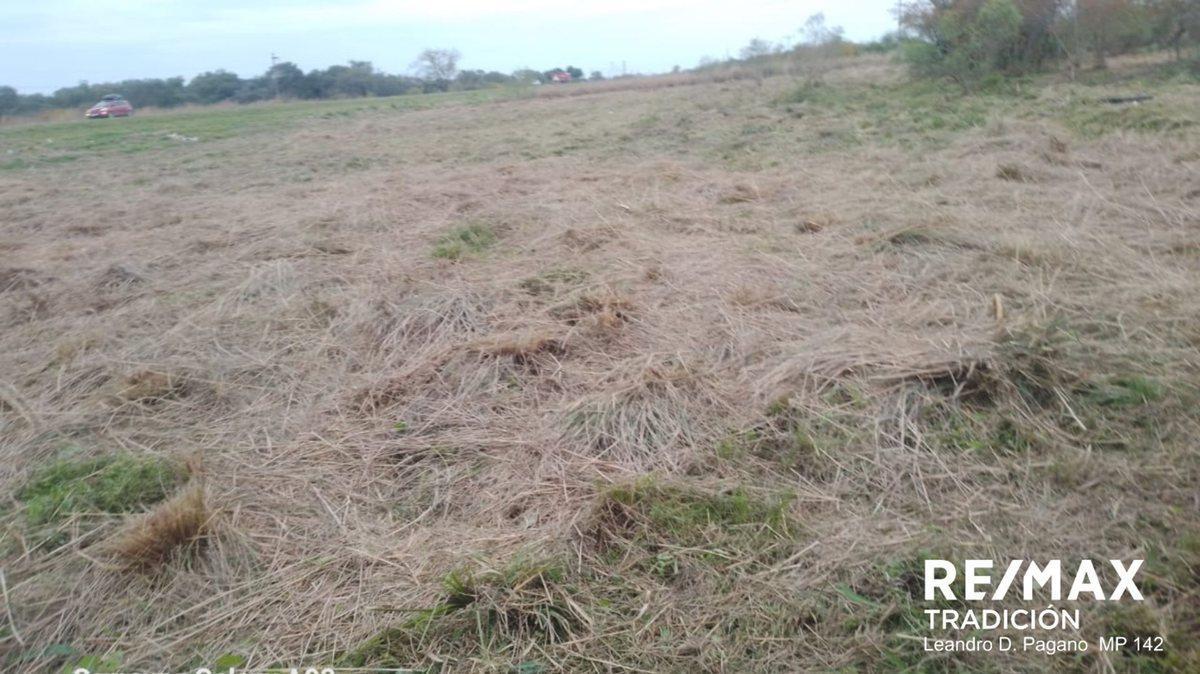 Foto de Terreno Venta Ruta Nacional 11 km 1010, imagen 3