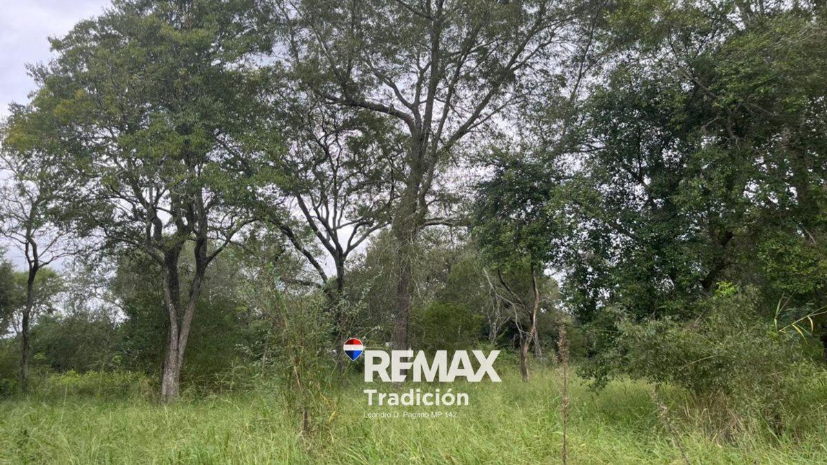 Foto de OPORTUNIDAD! LOTE/S en RUTA INGRESO COL. BENITEZ, imagen 3