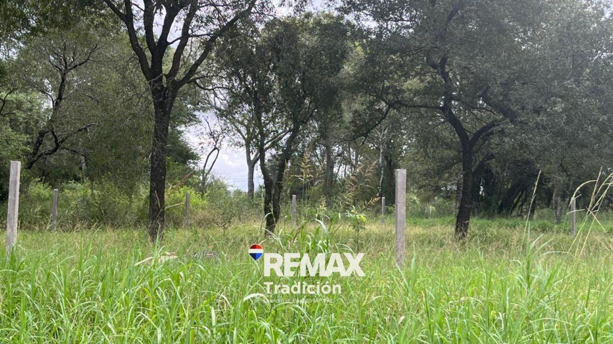 Foto de OPORTUNIDAD! LOTE/S en RUTA INGRESO COL. BENITEZ, imagen 4