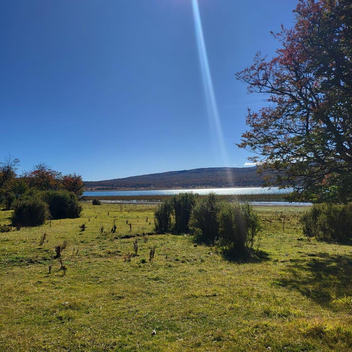 Campo de 136 Has con Costa de Lago y Rio en Lago Rosario, Chubut. 3