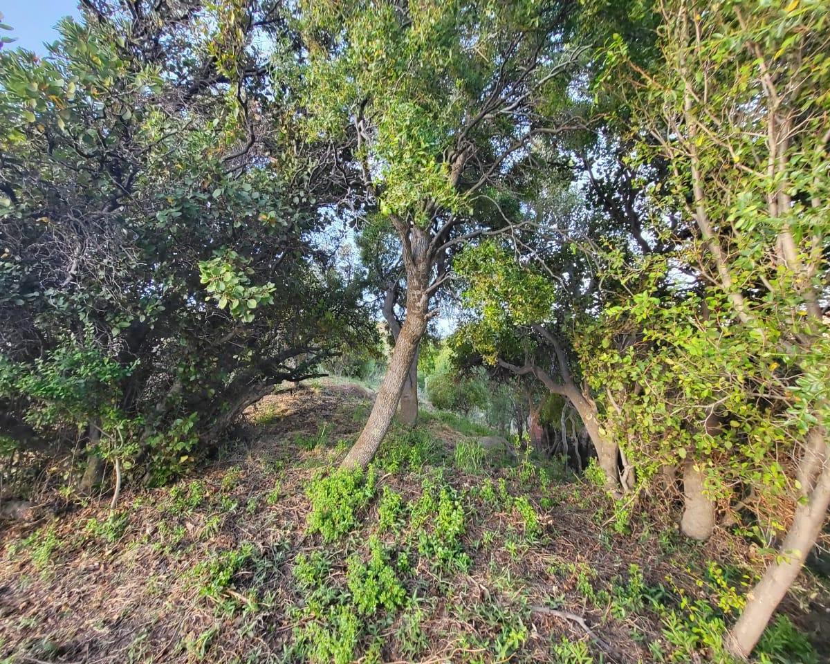 Lote de 977 m² en Villa Ayelén (Inmejorable Vista) 5