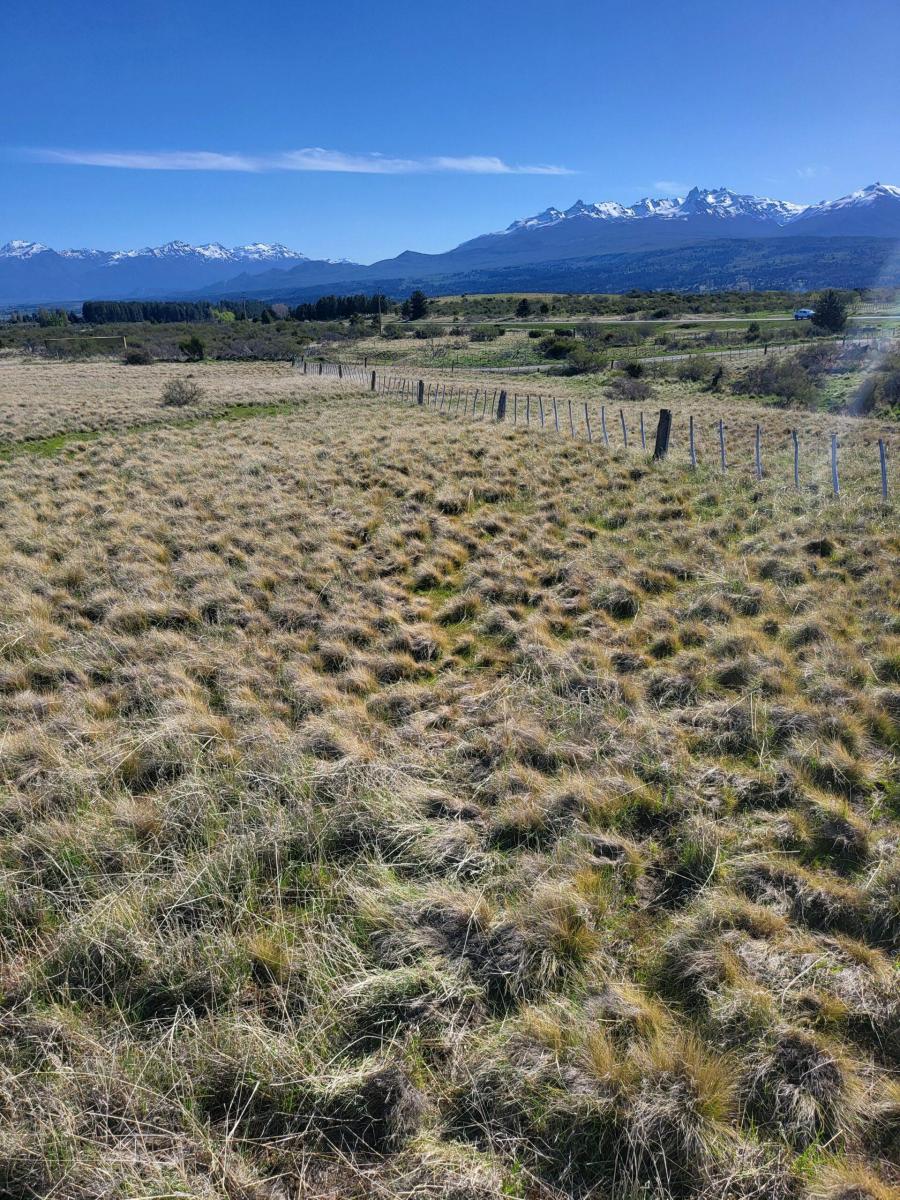 Chacra de 1 Hectárea por Ruta N 259 a 7 Km de Trevelin 4