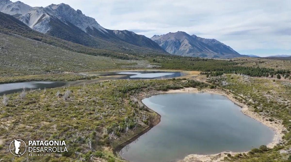 Foto de Campo de 2862 has con lagunas y pinares, imagen 3