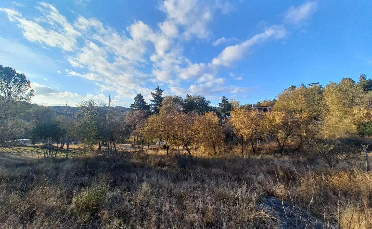 Lote en venta en Estancia Vieja a 50 mts del rio Los Chorrillos 3