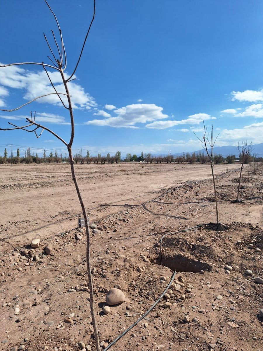 Se Vende Lote de 500 m², B° Milcayac II, Vieytes Entre Boedo y Araoz, Lujan 3