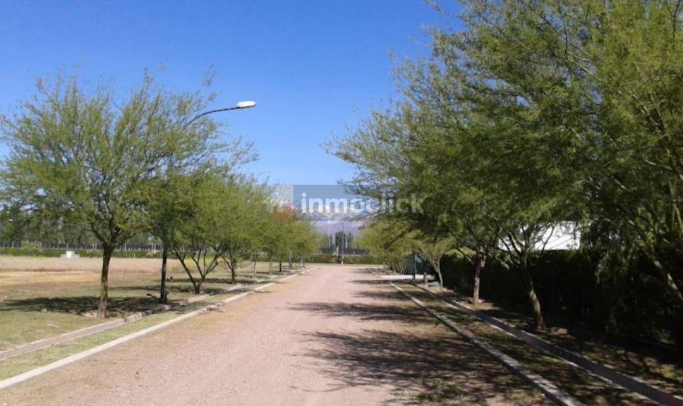 " El Envero Casas de Campo " Roque Saenz Peña - Las Compuertas - Lujan de Cuyo 2