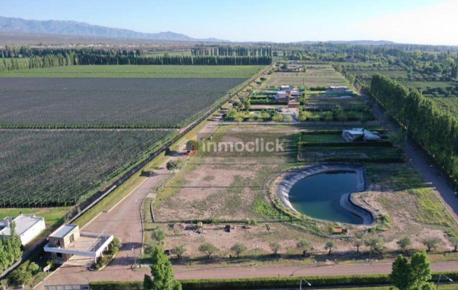 " El Envero Casas de Campo " Roque Saenz Peña - Las Compuertas - Lujan de Cuyo 1