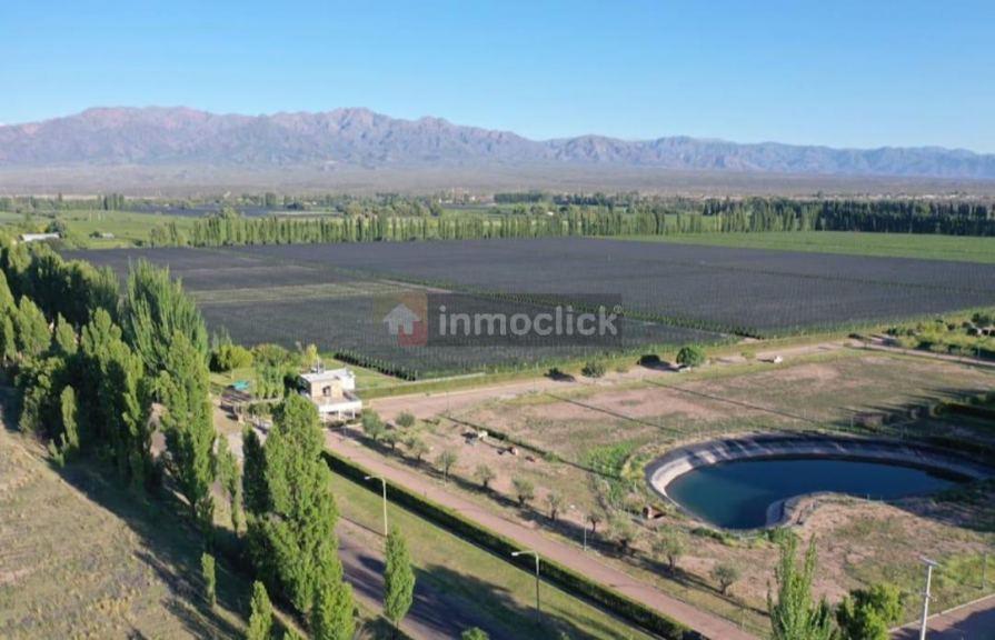 " El Envero Casas de Campo " Roque Saenz Peña - Las Compuertas - Lujan de Cuyo 5