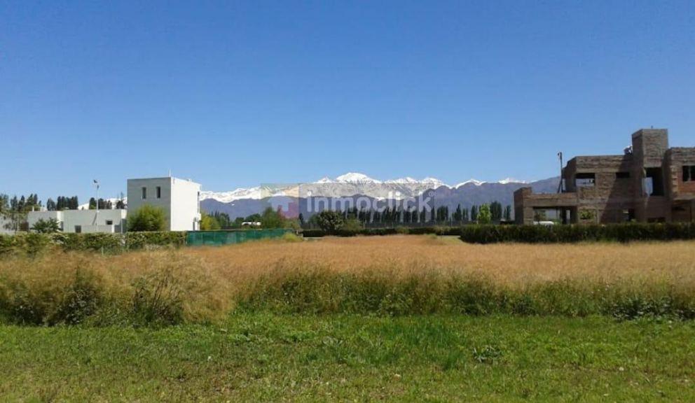 " El Envero Casas de Campo " Roque Saenz Peña - Las Compuertas - Lujan de Cuyo 4