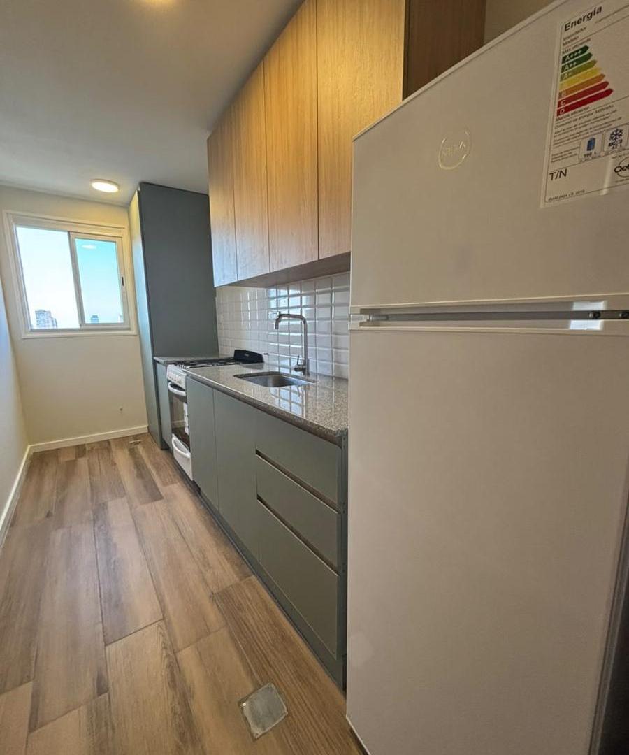 Foto de Departamento 1 ambiente dividido en Plaza Mitre, imagen 4