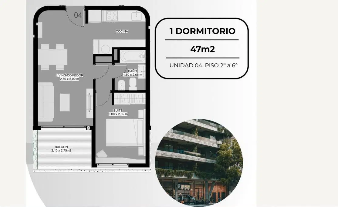 Plano 6