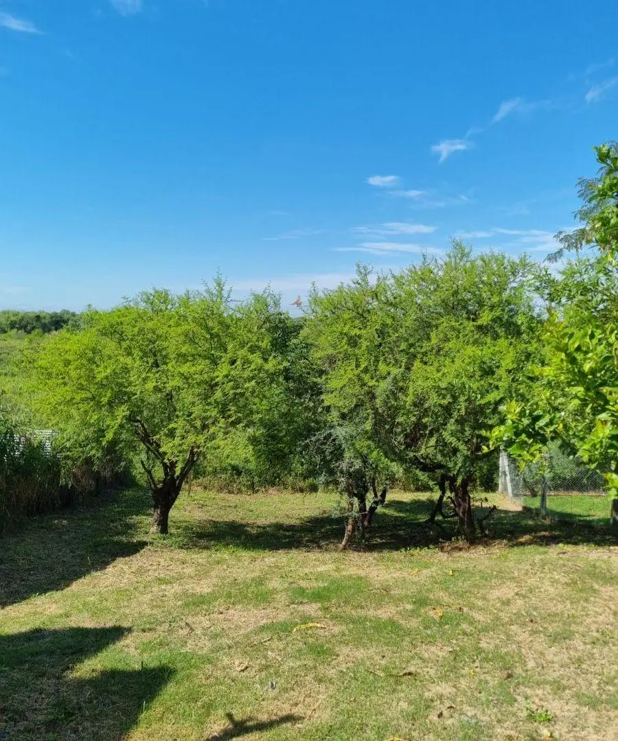 Venta Lote 350 m2- Fondo al Bañado y al Río - Santo Tomé Residencial 2