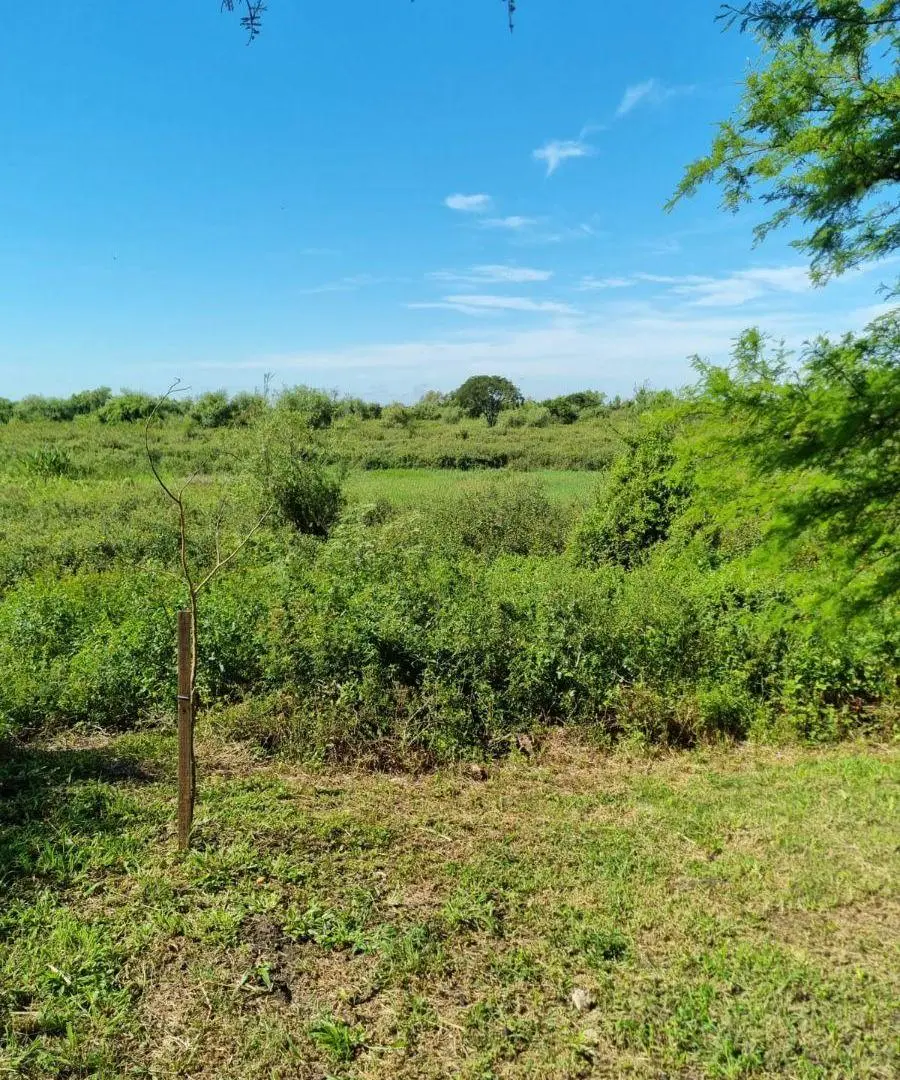 Venta Lote 350 m2- Fondo al Bañado y al Río - Santo Tomé Residencial 3