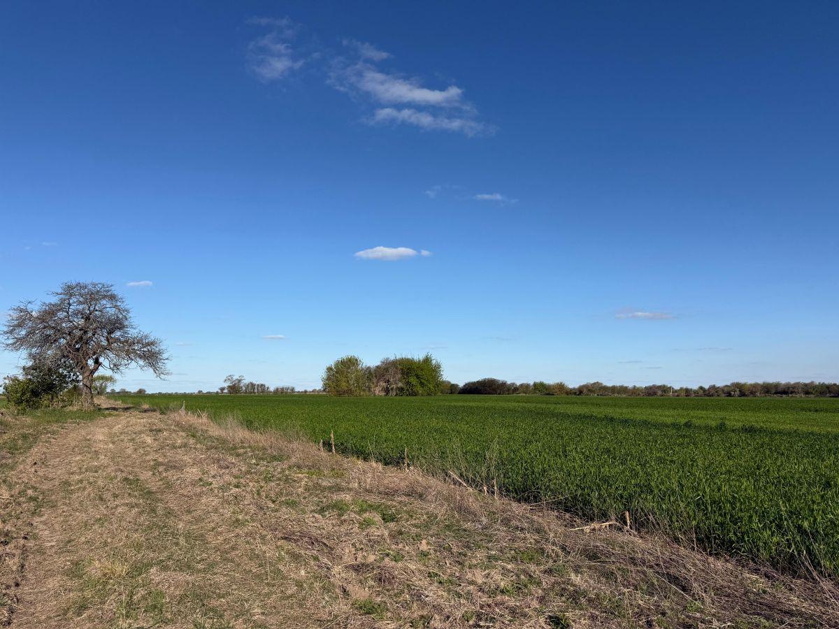 Foto de Campo de 10 ha en venta en Campo Andino, imagen 4