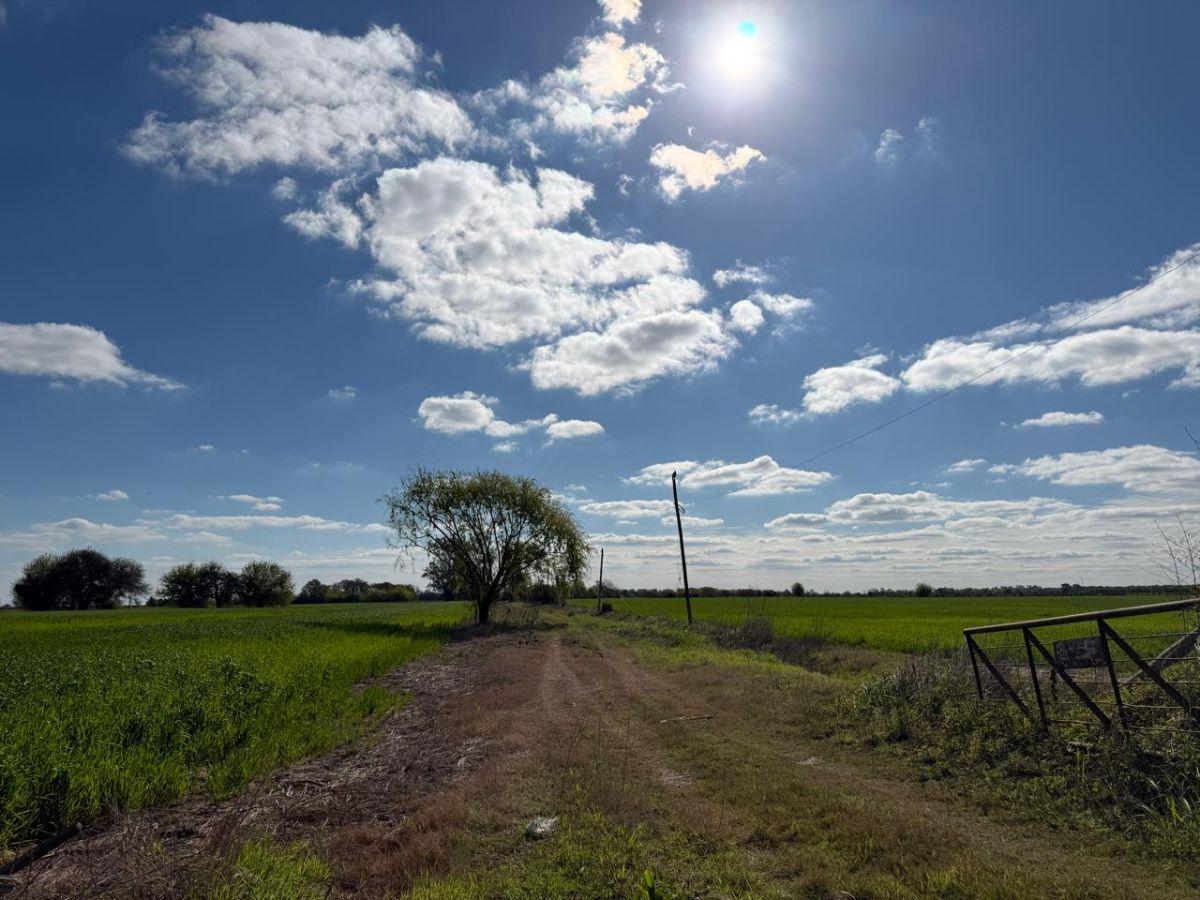 Foto de Campo de 10 ha en venta en Campo Andino, imagen 1
