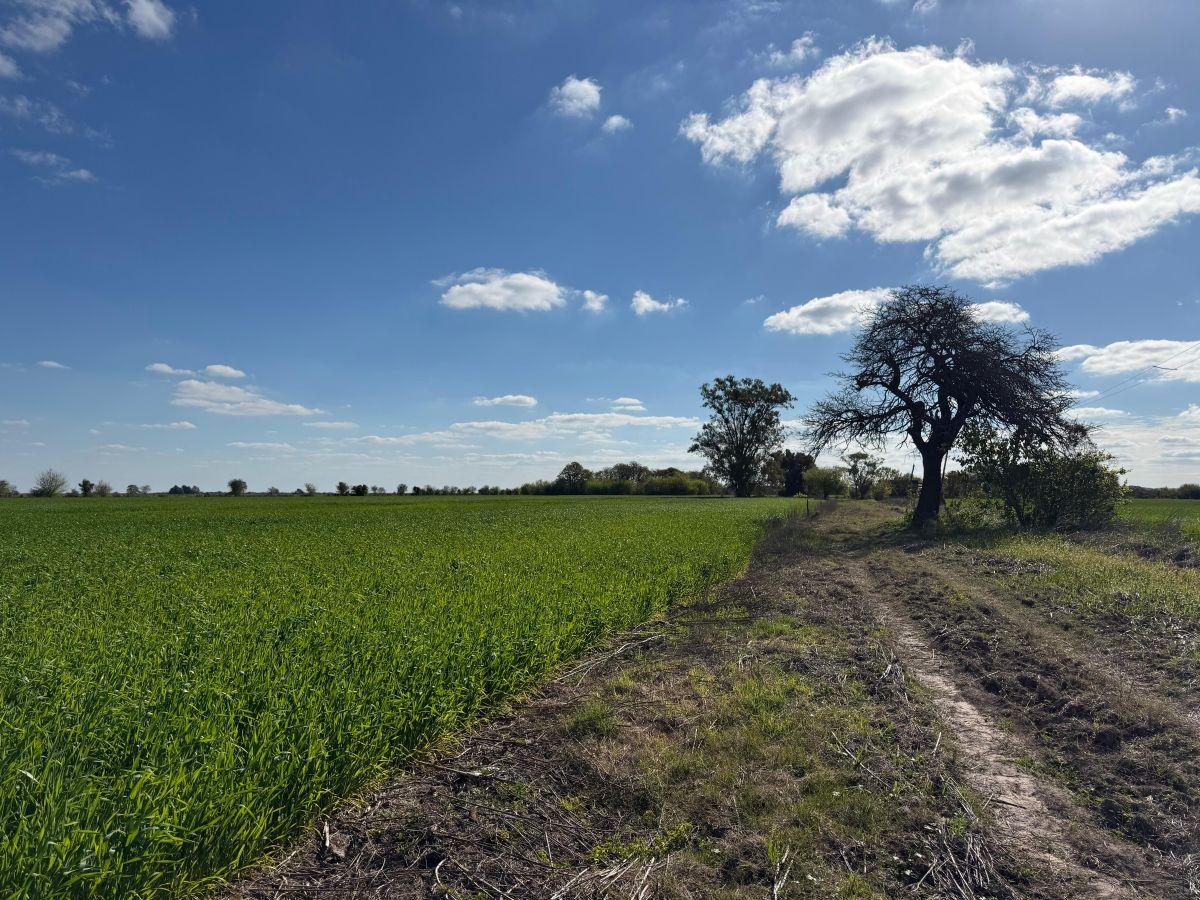 Foto de Campo de 10 ha en venta en Campo Andino, imagen 3