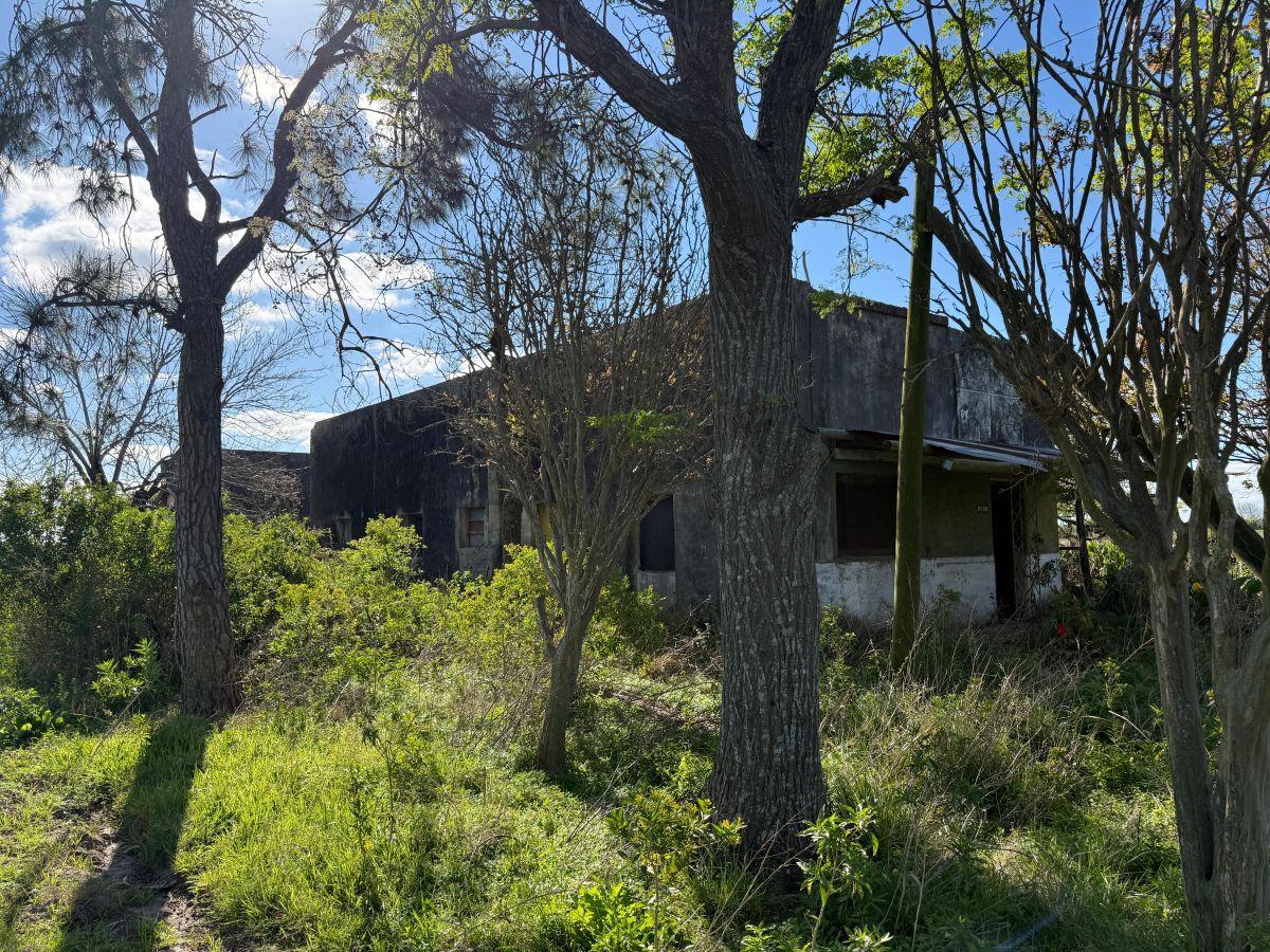 Foto de Campo de 10 ha en venta en Campo Andino, imagen 5
