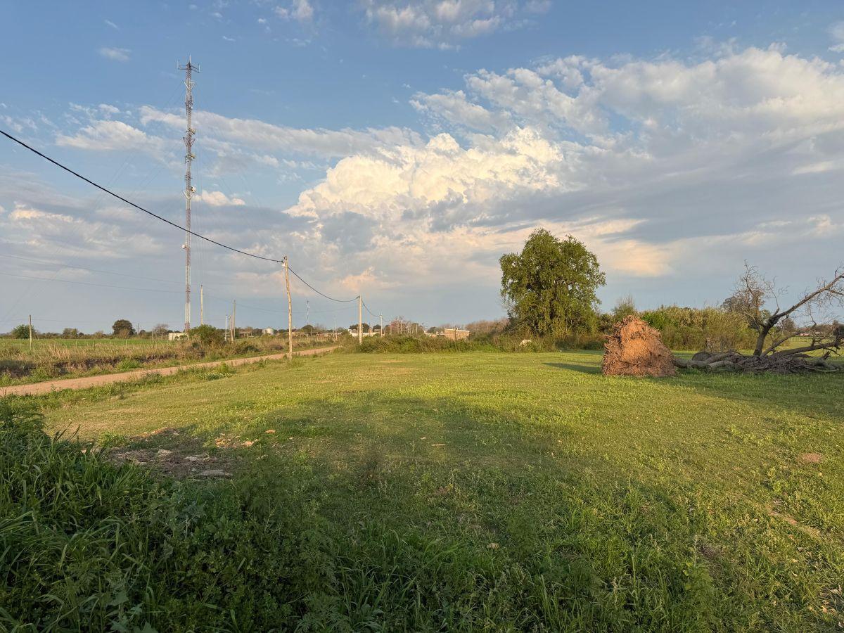 Foto de Terreno de 377 m² en venta en Nelson, imagen 5