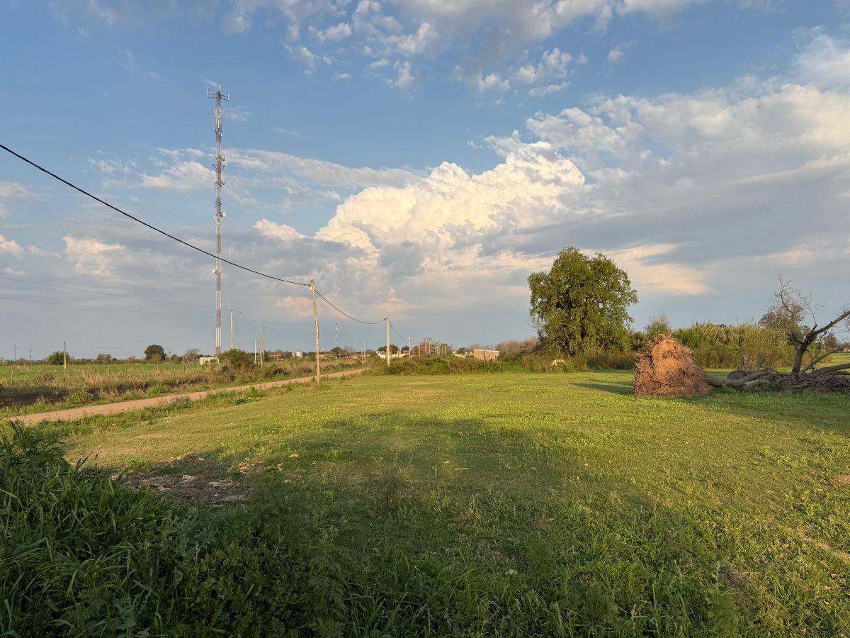 Foto de Terreno de 377 m² en venta en Nelson, imagen 4